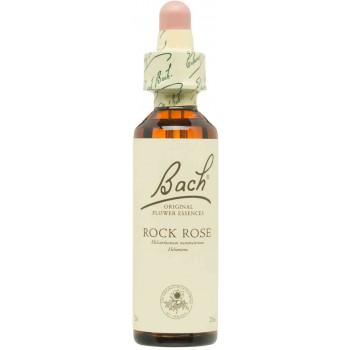 BACH (26) ROCK ROSE PERSON....