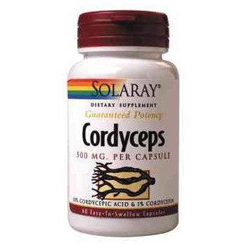 CORDYCEPS 500MG. - 60 CAPSULAS
